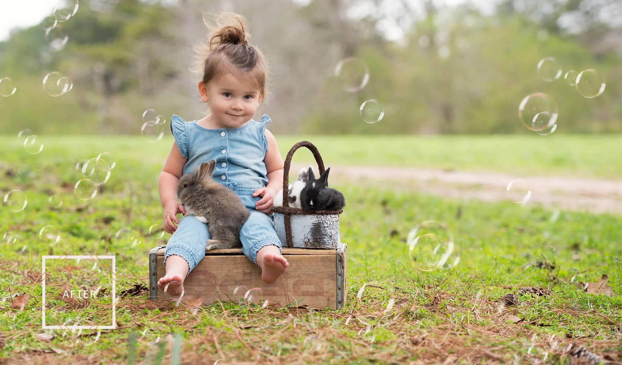 Bubble Overlays and Actions Collection - Image 7
