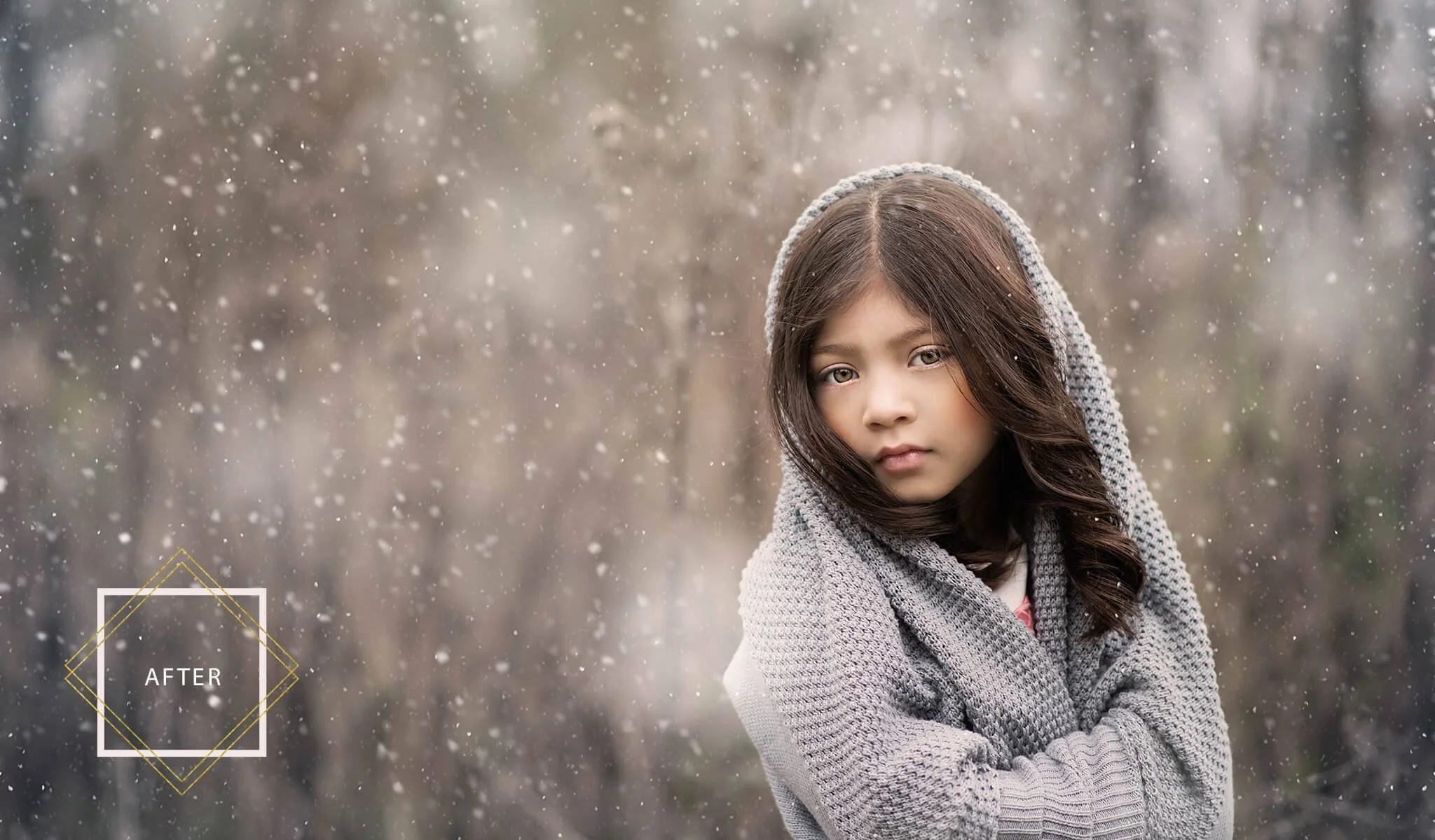 Complete Collection of Actions & Overlays for Photoshop - Image 13