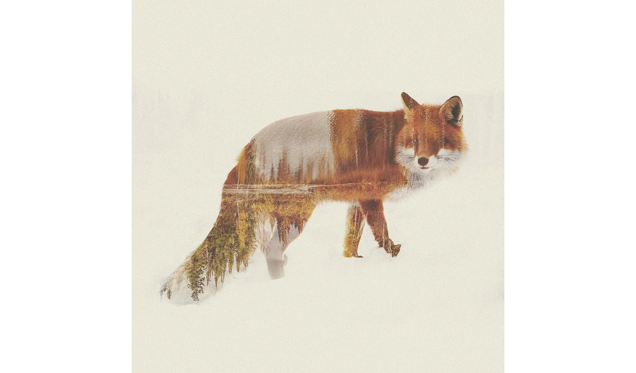 Double Exposure: Photoshop Actions Collection