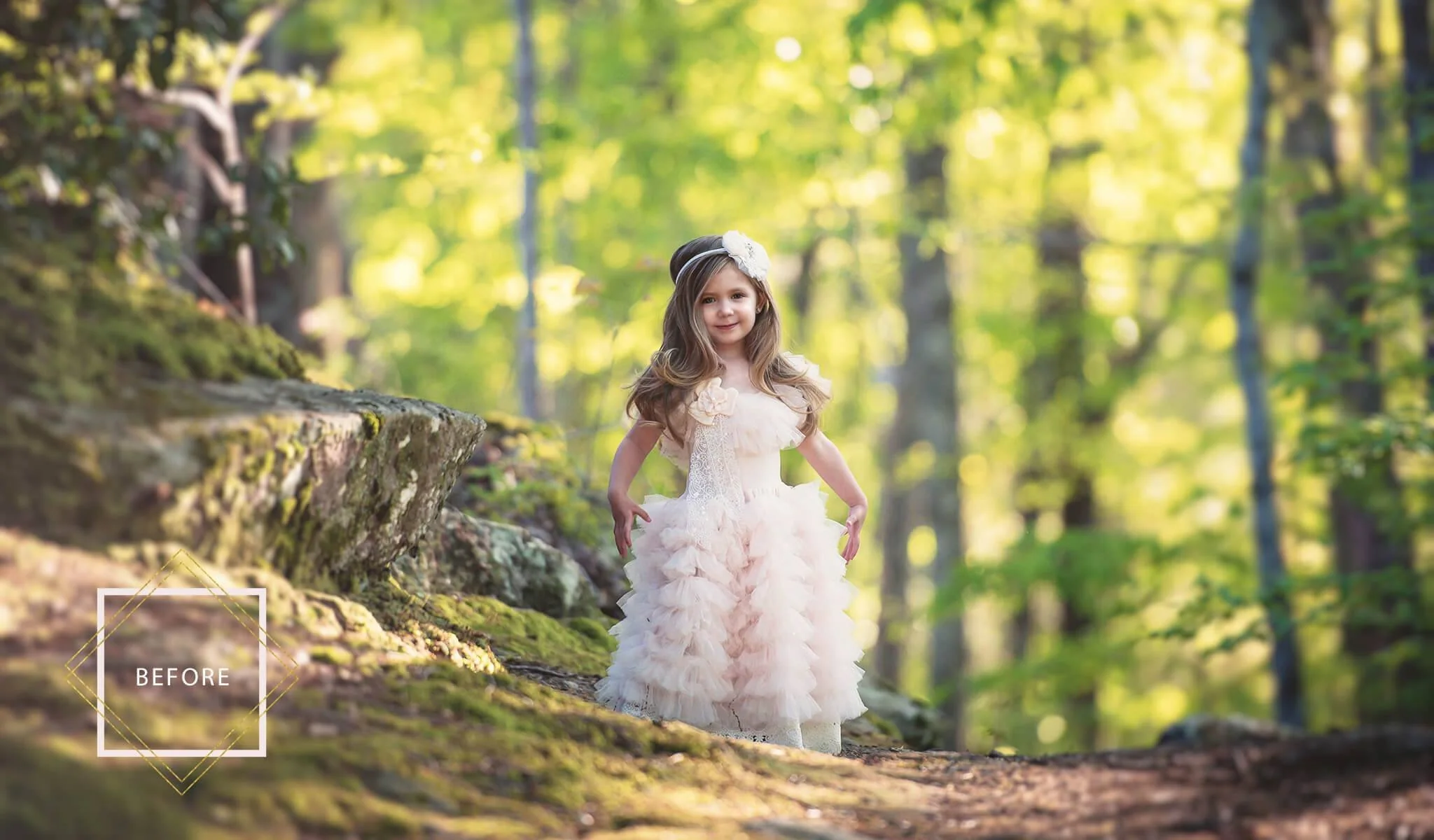 FAIRYLAND Overlays and Actions Collection - Image 10