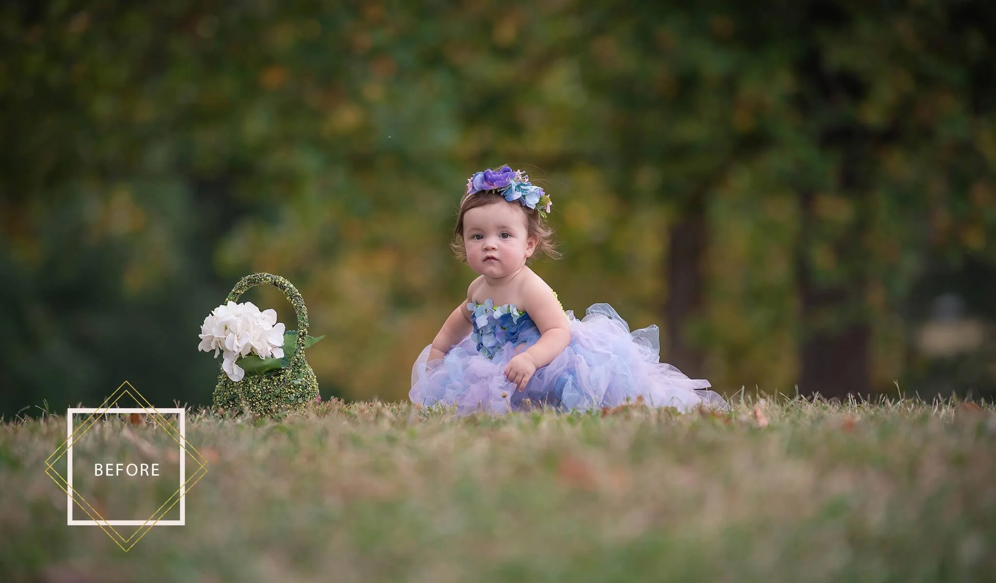 FAIRYLAND Overlays and Actions Collection - Image 12