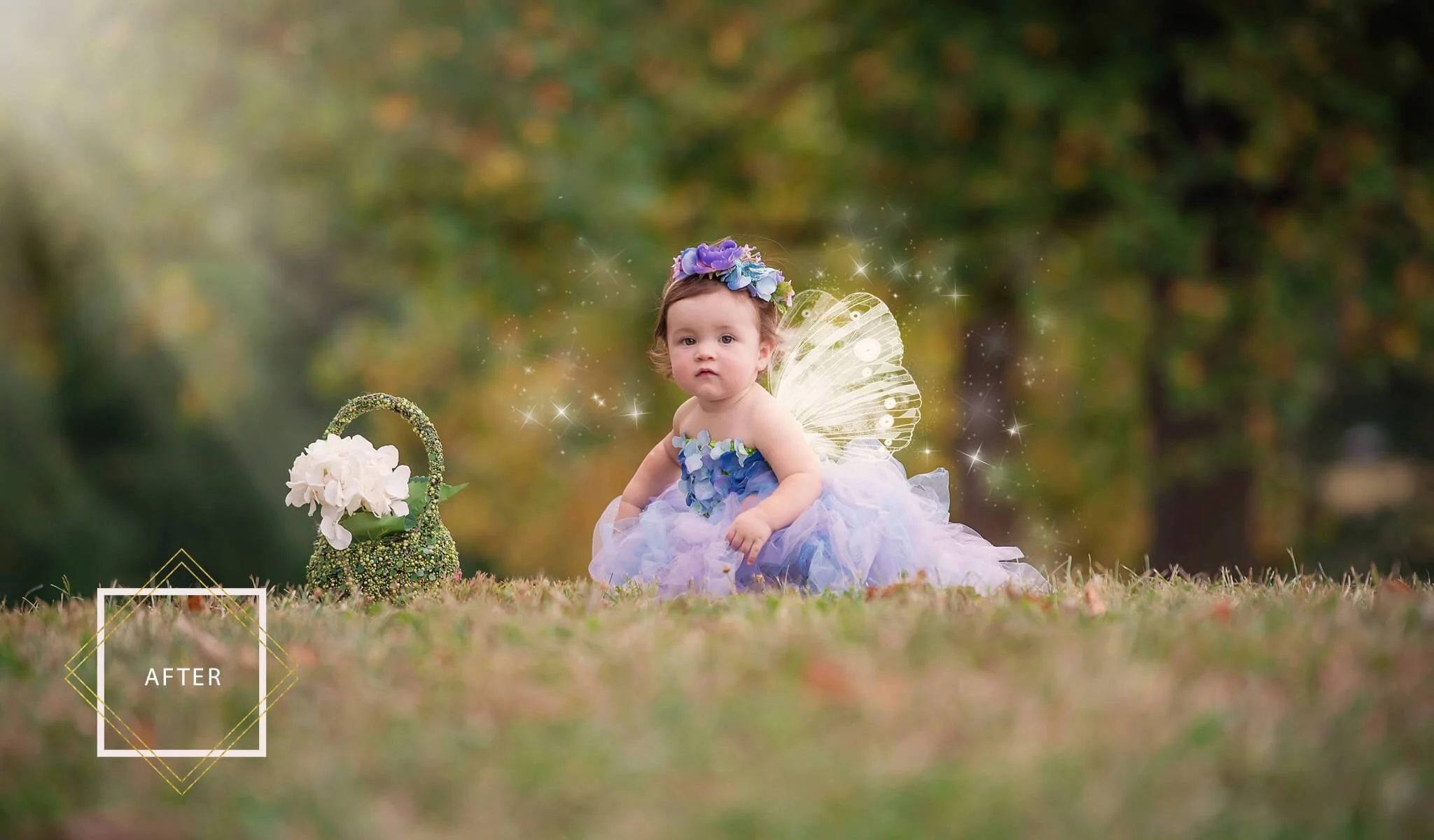 FAIRYLAND Overlays and Actions Collection - Image 13