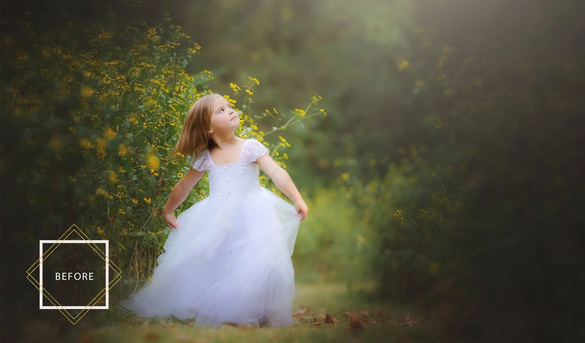 FAIRYLAND Overlays and Actions Collection - Image 14
