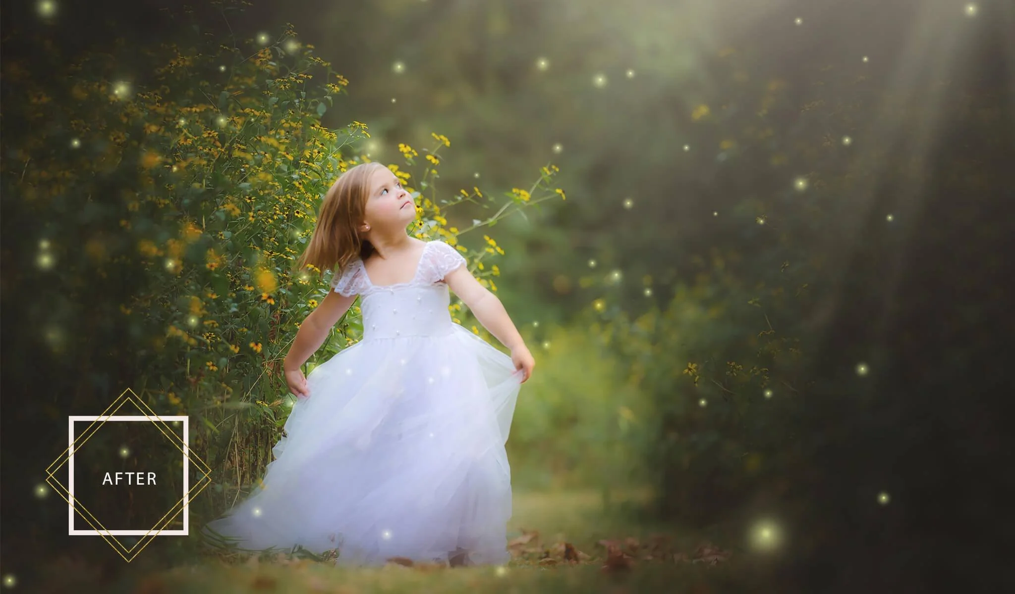 FAIRYLAND Overlays and Actions Collection - Image 15