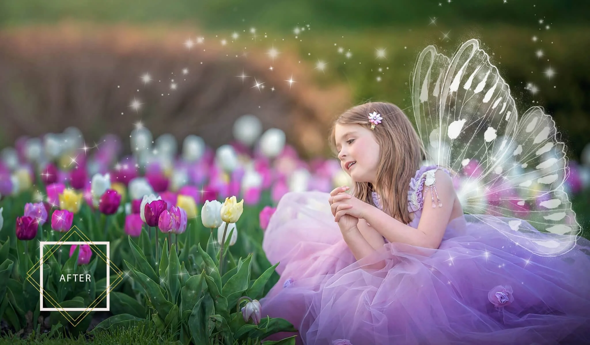 FAIRYLAND Overlays and Actions Collection - Image 3