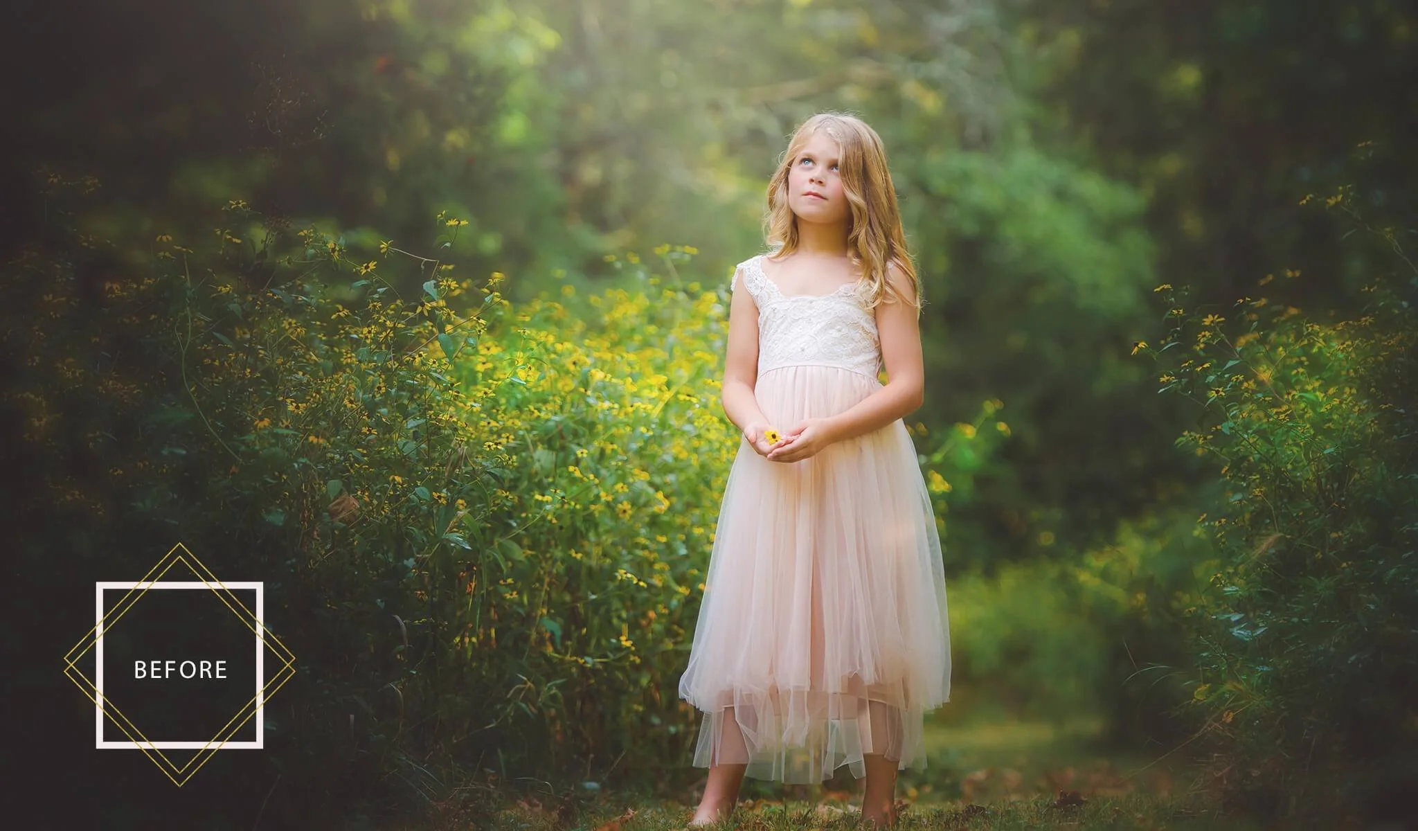FAIRYLAND Overlays and Actions Collection - Image 4