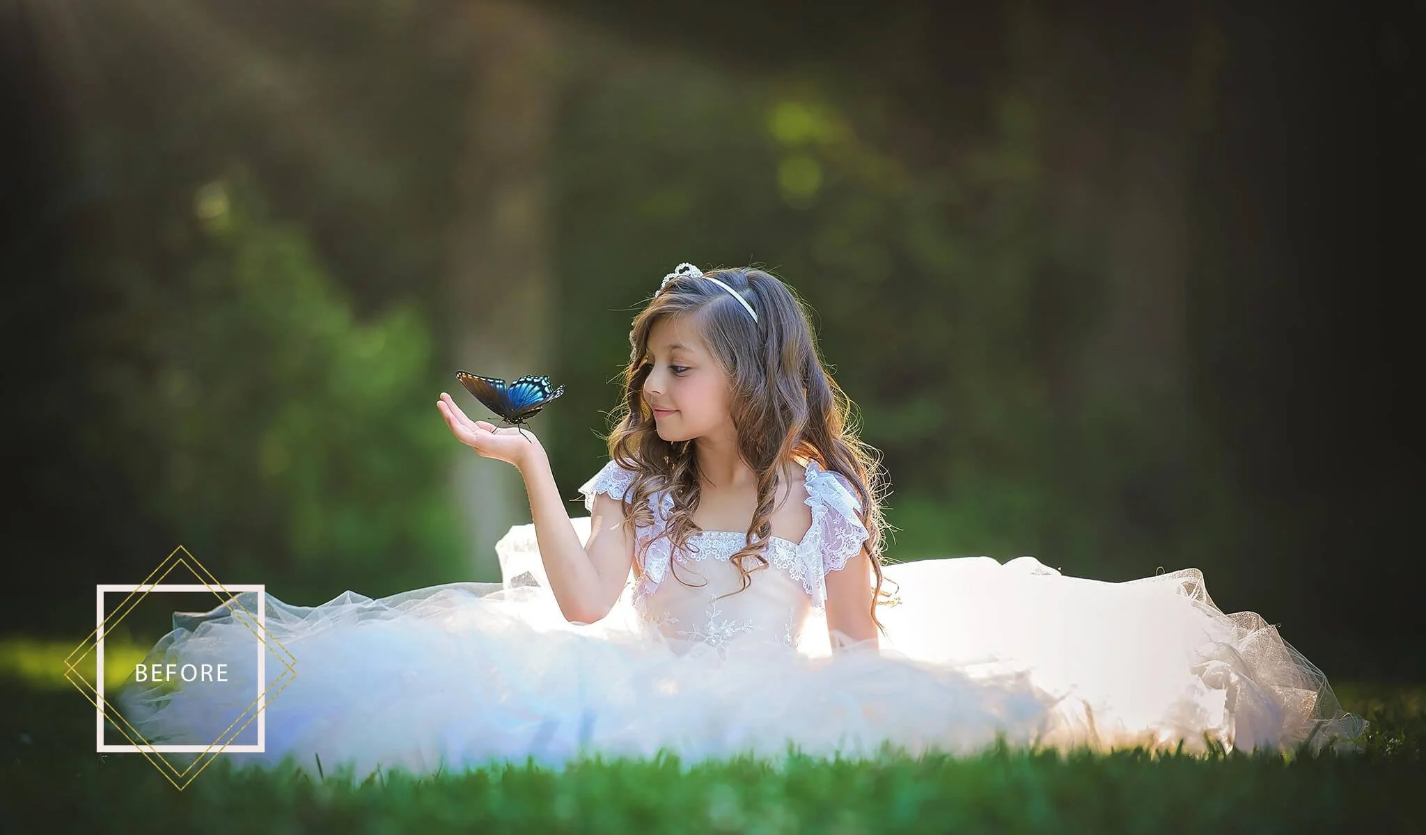 FAIRYLAND Overlays and Actions Collection - Image 8