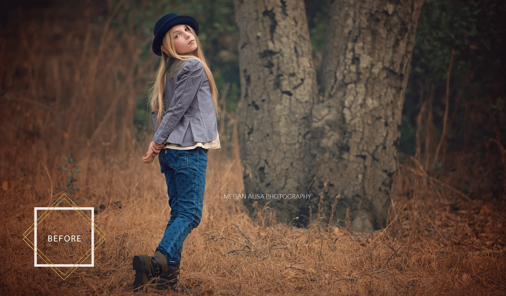 Falling Leaves Overlays & Actions Collection - Image 4