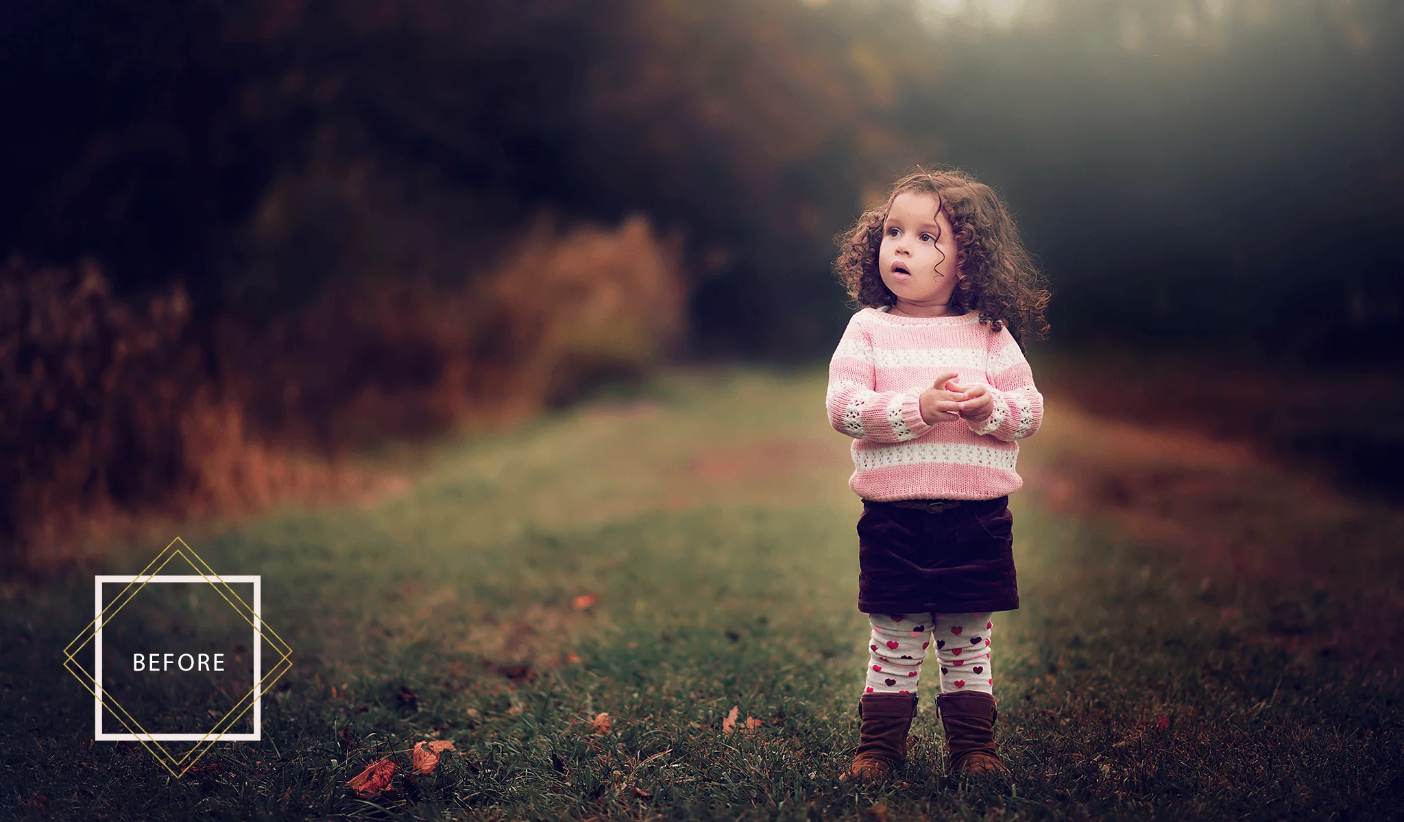 Falling Leaves Overlays & Actions Collection - Image 6