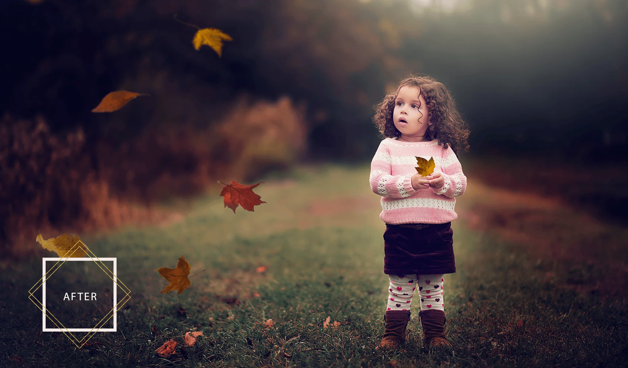 Falling Leaves Overlays & Actions Collection - Image 7