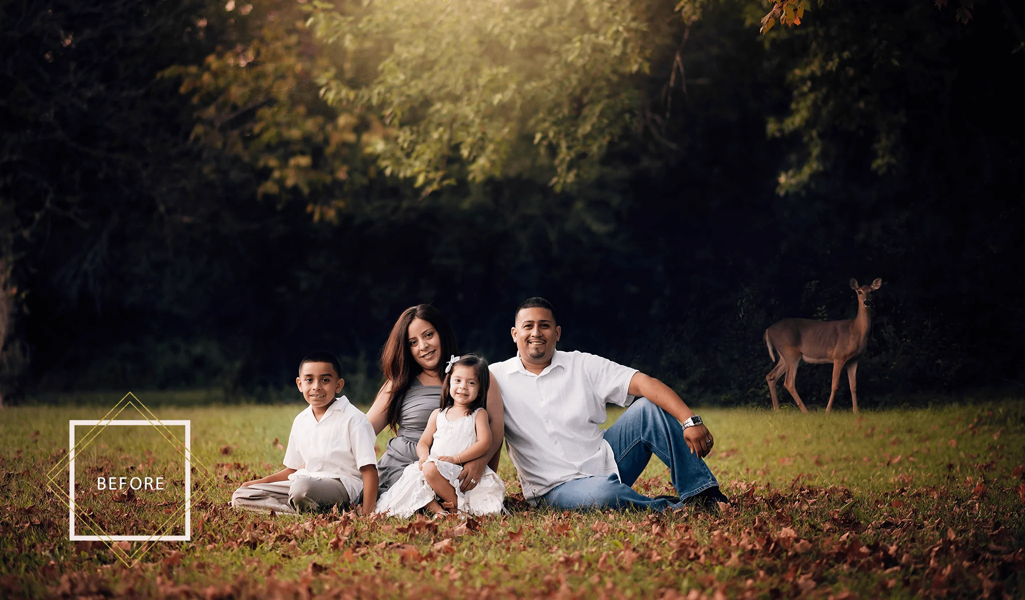 Falling Leaves Overlays & Actions Collection - Image 8