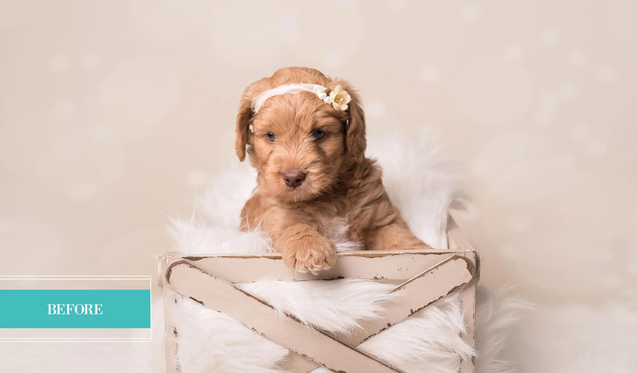 Holiday Bokeh Lightroom Presets - Limited Edition Collection - Image 10