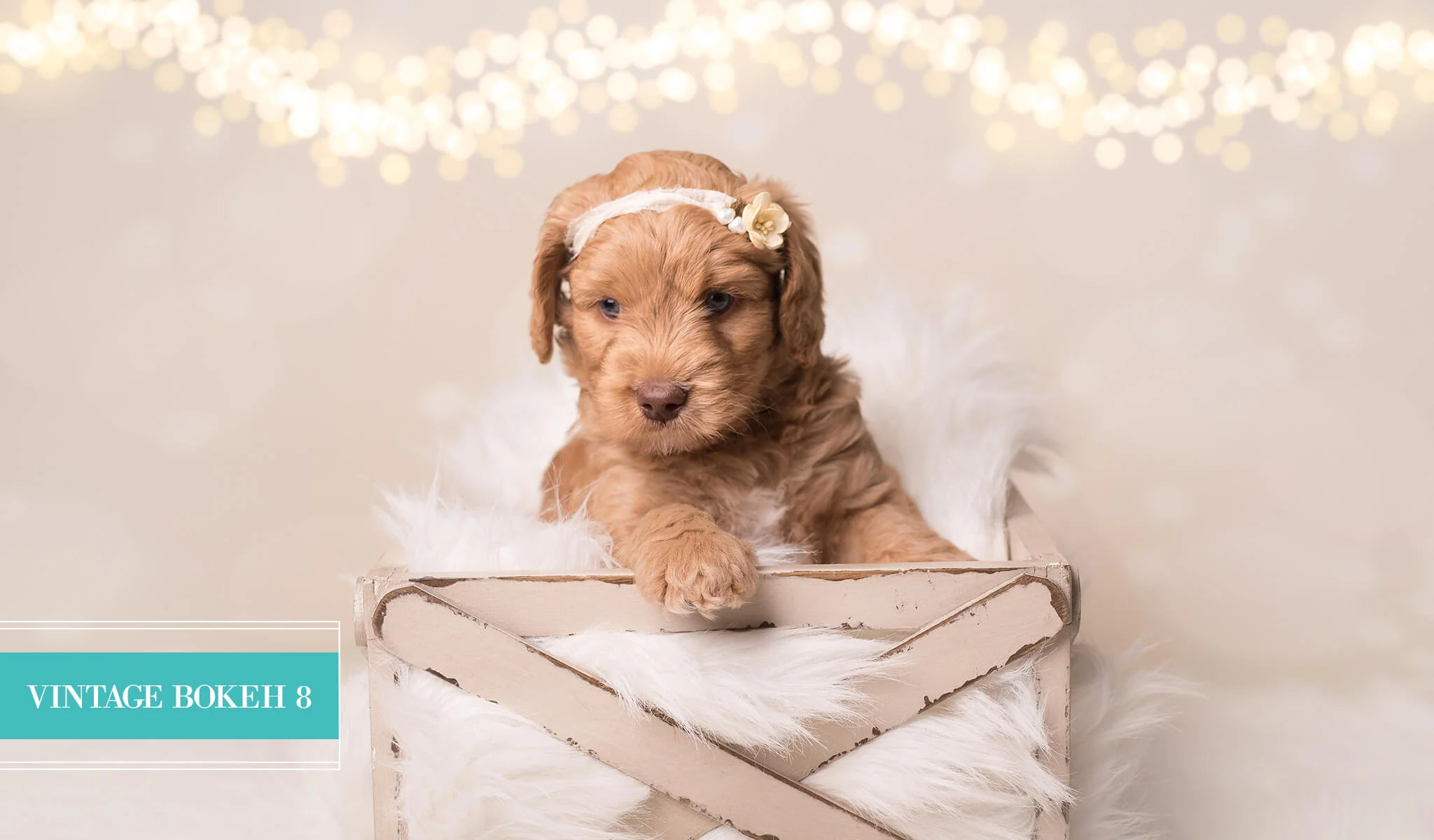 Holiday Bokeh Lightroom Presets - Limited Edition Collection - Image 11