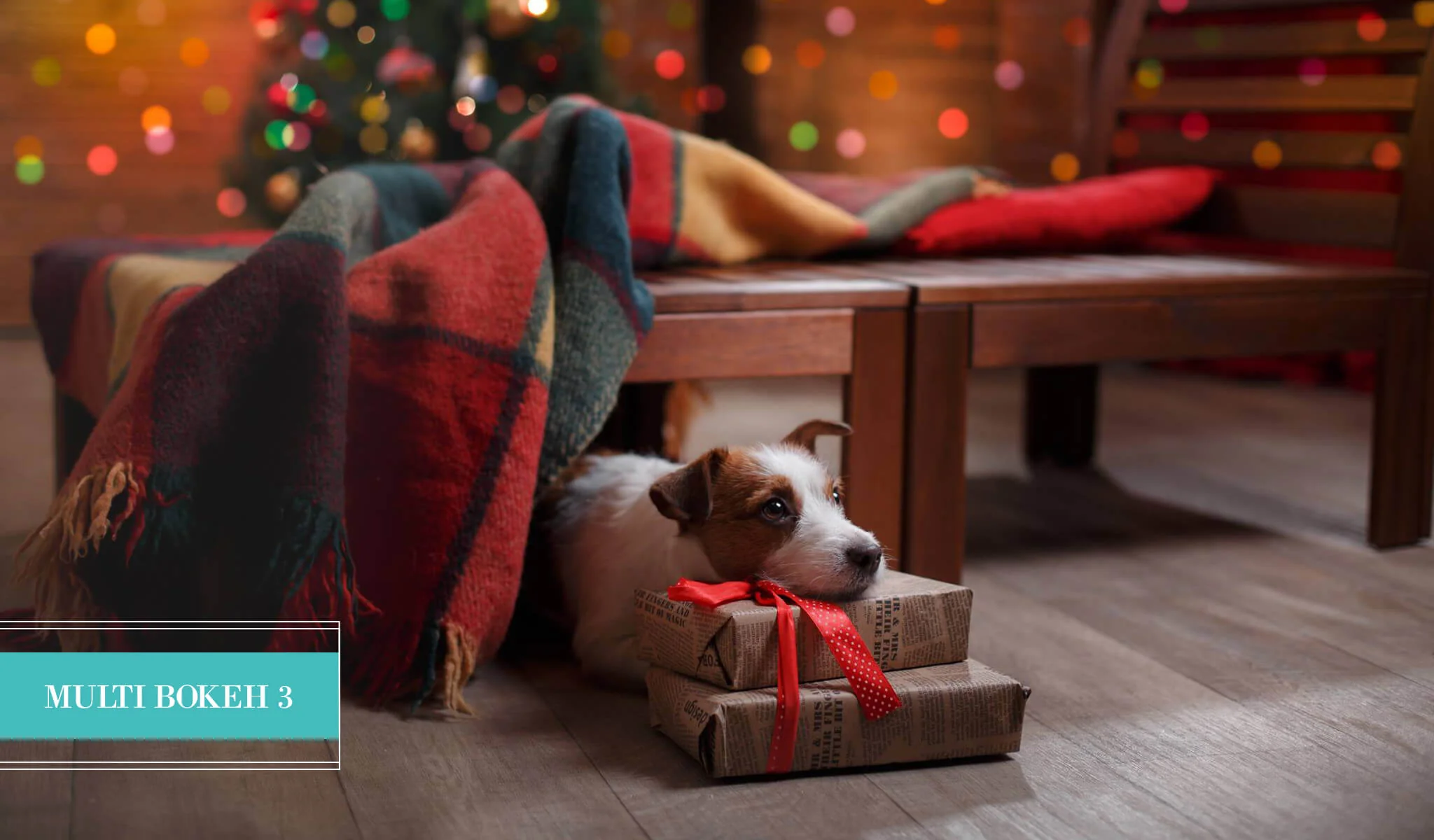 Holiday Bokeh Lightroom Presets - Limited Edition Collection - Image 5