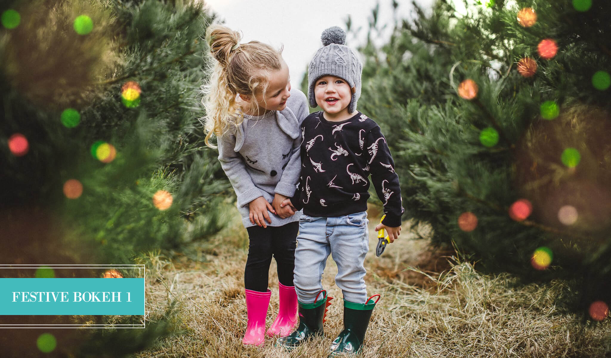 Holiday Bokeh Lightroom Presets - Limited Edition Collection - Image 7