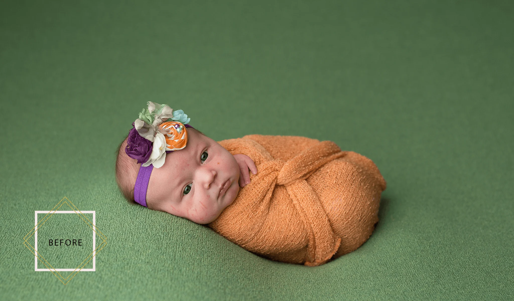 LUXE Newborn Photoshop Actions Collection - Image 10