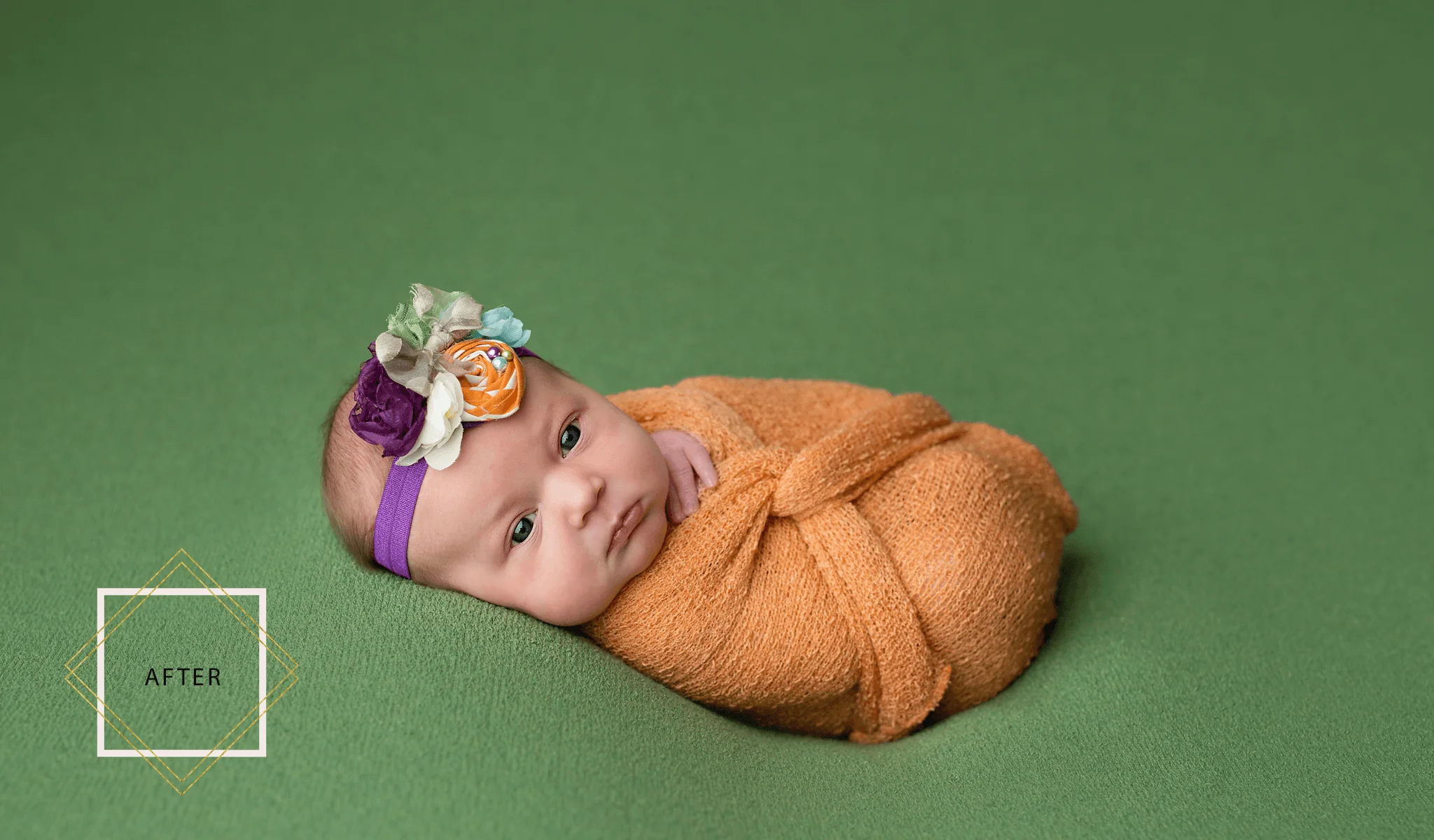LUXE Newborn Photoshop Actions Collection - Image 11